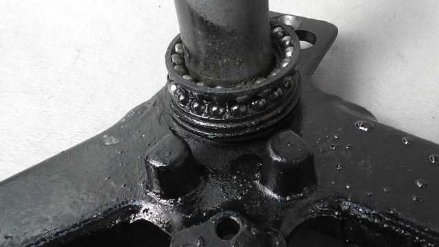 画像の拡大・明るさの変更ができます。 ジャズ AC09-1020xxx の ステムの画像3