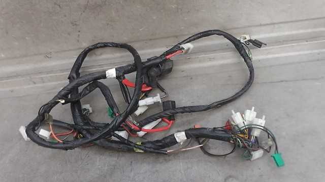 imgrc0063179472.jpg