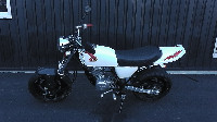 APE (GCv)