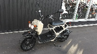 ZOOMER FI@<Y[}[FI>