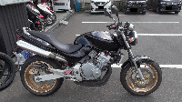 z[lbg Hornet