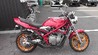ofBbg250
