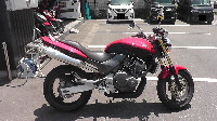 z[lbg Hornet
