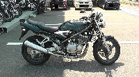 �o���f�B�b�g250