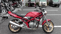 �o���f�B�b�g250
